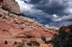 Zion National Park Zion National Park