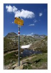 AlpenGiallo AlpenGiallo