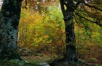 Autunno2 Autunno2