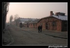 Campo di concentramento:
Oswiecim-Auschwitz-Polonia..

Dal grigiore del passato, manifestaso in fondo alla foto nella parte posteriore, al calore + o - dei giorni nostri, manifestato nella parte anteriore con colori piu caldi..

Commenti graditissimi:
Matt