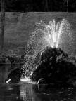 fontana BW - parco Udine