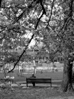 ricordiamoci di loro ricordiamoci di loro