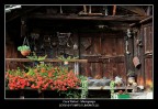 Casa Walser Casa Walser