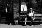 waiting... waiting...