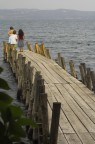 pontile pontile