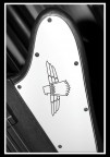 Aquila Aquila