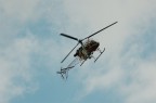 Libellula Tecnologica2 Libellula Tecnologica2