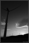 park of the wind park of the wind