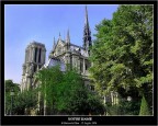 Notre Dame de Paris!