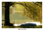 Angle of paradise Angle of paradise