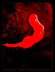 Red Hot Chili Pepper :) Red Hot Chili Pepper :)