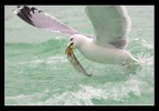 A pesca A pesca