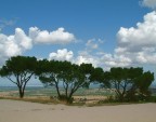 Paesaggio Paesaggio
