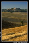 Paesaggio Toscano: Lorenzana Paesaggio Toscano: Lorenzana