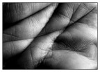 I SEGNI DEL TEMPO I SEGNI DEL TEMPO