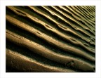 Il calore dell'alba Il calore dell'alba