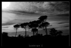 panorama panorama