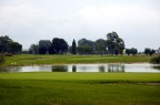 Green Green