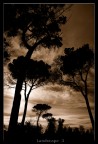 Landscape Landscape