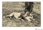 Madre e figlio Madre e figlio