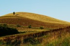 Campagna marchigiana Campagna marchigiana