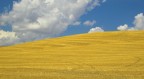 Nuvole in collina! Nuvole in collina!