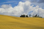 Casale in collina! Casale in collina!