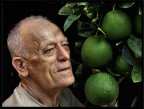 il ritratto e la frutta il ritratto e la frutta