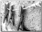 ..Insieme.. (2nd) ..Insieme.. (2nd)