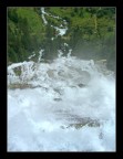 la forza della natura la forza della natura