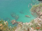 Capri - piccola radura Capri - piccola radura