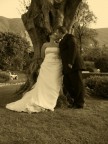 Mia sorella sposa... Mia sorella sposa...