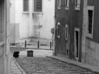Zingarella a Lisbona Zingarella a Lisbona