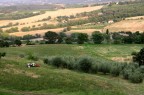 Il Trattore Il Trattore