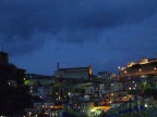 SCILLA SCILLA