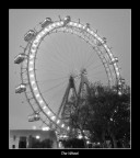 The Wheel The Wheel