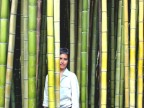 Woman And Bamboo Woman And Bamboo