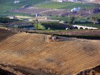 grano grano