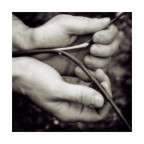 Le mani del vignaiolo Le mani del vignaiolo