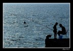 pesca in controluce