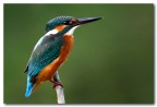 martinposa martinposa