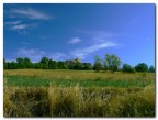 il borgo . il borgo .