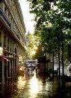 Paris, Boulevard Haussmann Paris, Boulevard Haussmann