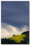Dopo il temporale "2" Dopo il temporale "2"