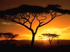 tramonto in kenya tramonto in kenya