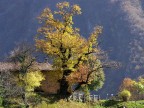 Autunno in Valsassina Autunno in Valsassina