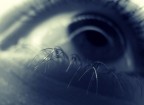 Esperimenti di una neofita Esperimenti di una neofita