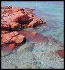 Corsica Corsica