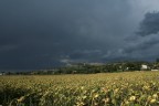 Prima della tempesta Prima della tempesta