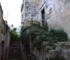 Vico Veneziani Vico Veneziani